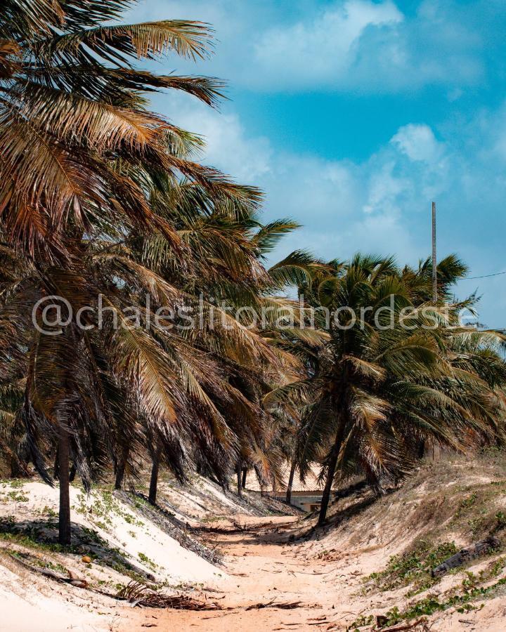 فيلا Chales Paraiso De Maracajau 1 المظهر الخارجي الصورة